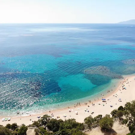 Club Esse Palmasera Hotel 4*