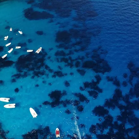 Club Esse Palmasera Hotel 4*