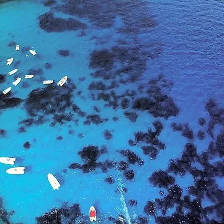Club Esse Palmasera