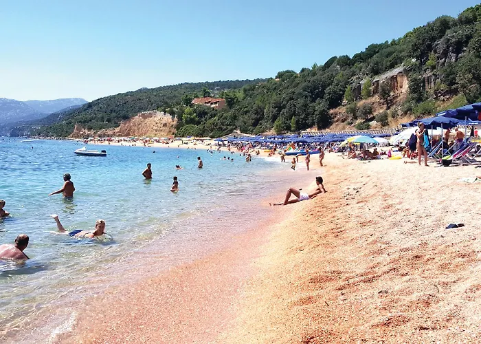 Hotel Club Esse Palmasera 4*